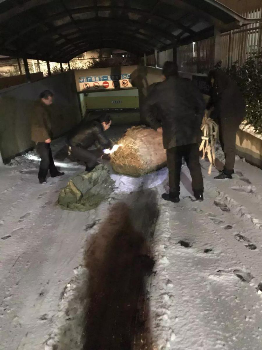 beats365(�й���)-Ψһ�ٷ���վ