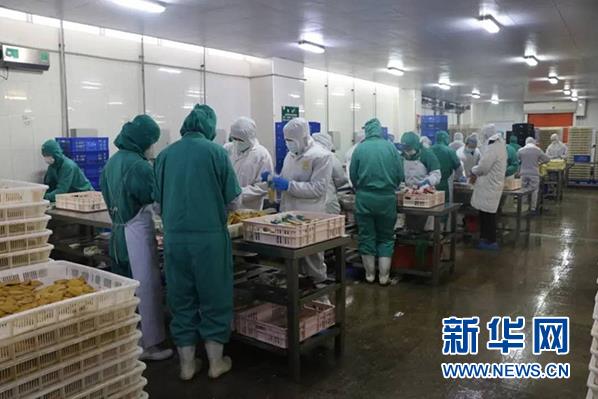 beats365(�й���)-Ψһ�ٷ���վ