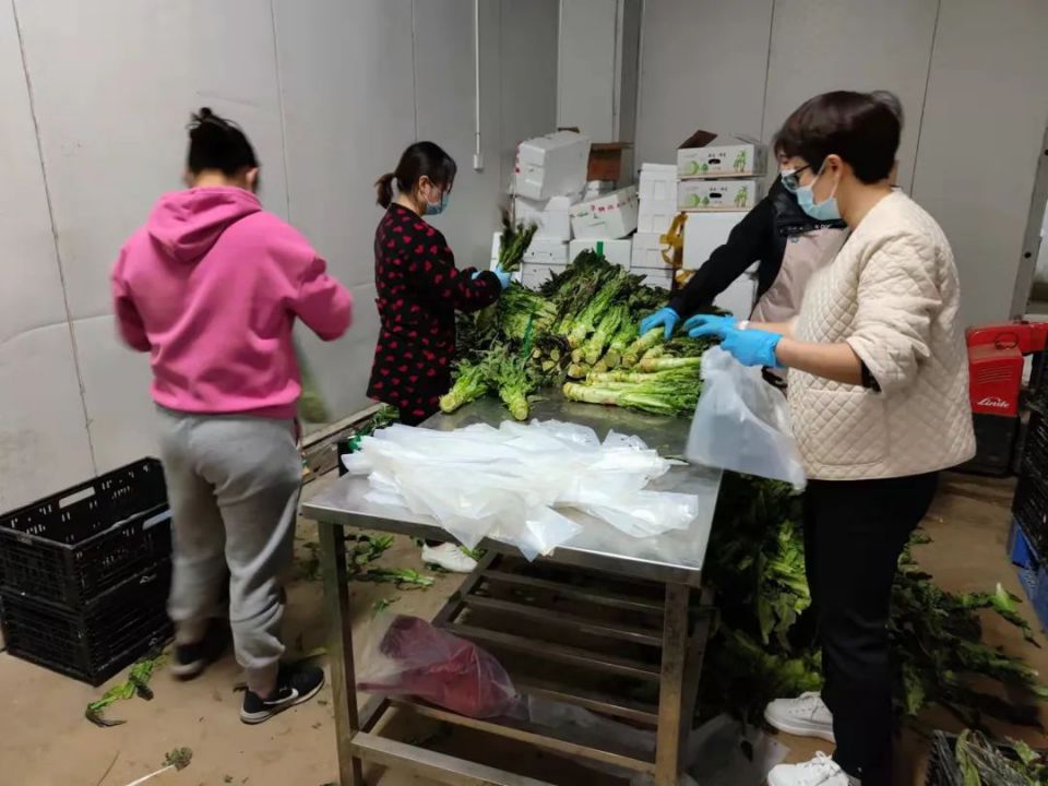 beats365(�й���)-Ψһ�ٷ���վ