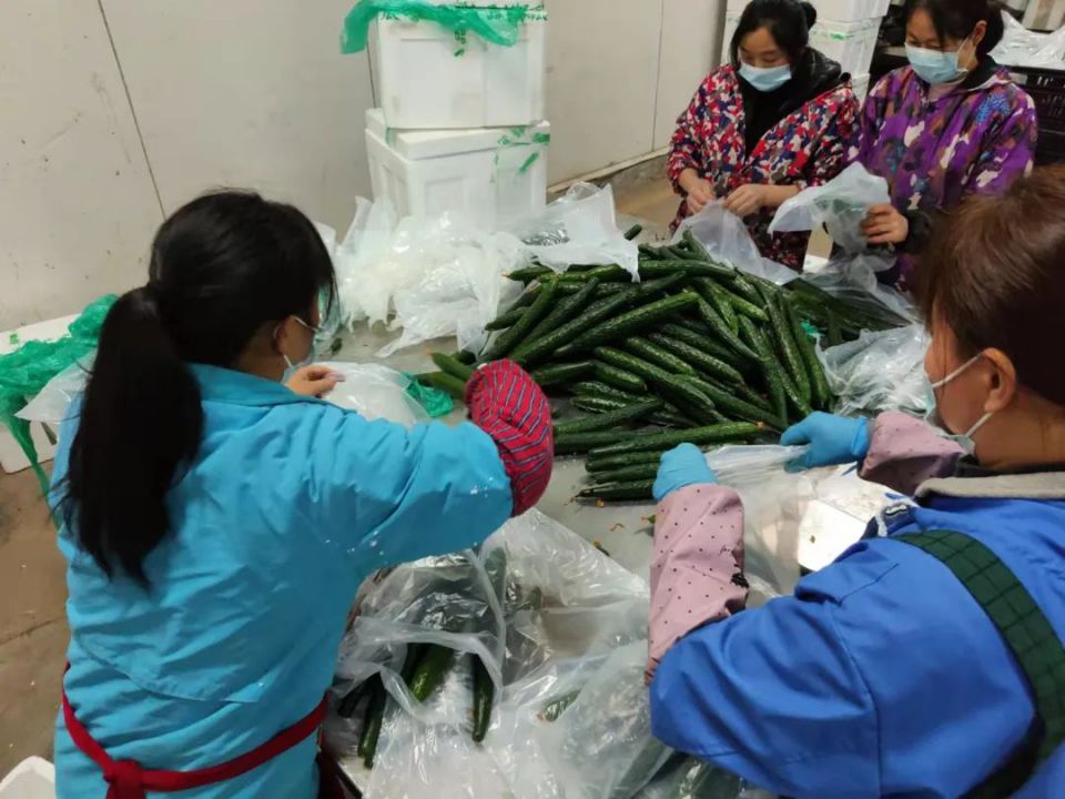 beats365(�й���)-Ψһ�ٷ���վ