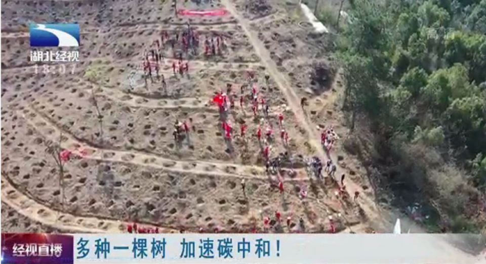 beats365(�й���)-Ψһ�ٷ���վ