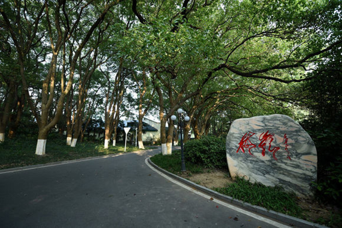 beats365(�й���)-Ψһ�ٷ���վ