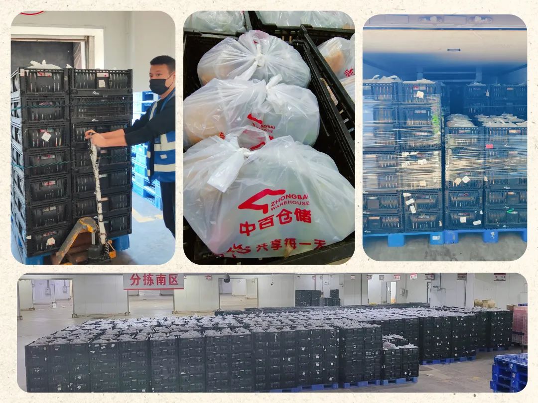 beats365(中国区)-唯一官方网站