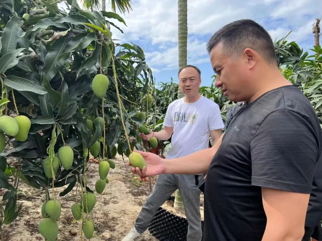 beats365(ÖйúÇø)-Ψһ¹Ù·½ÍøÕ¾