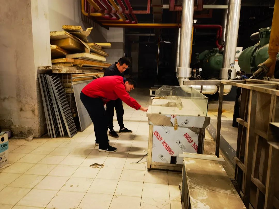 beats365(ÖйúÇø)-Ψһ¹Ù·½ÍøÕ¾