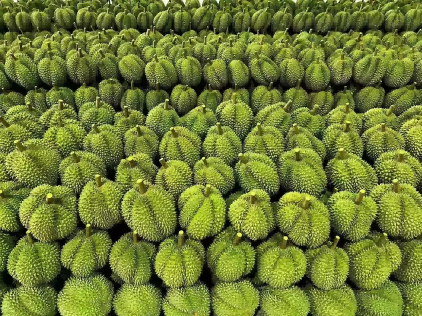 beats365(中国区)-唯一官方网站