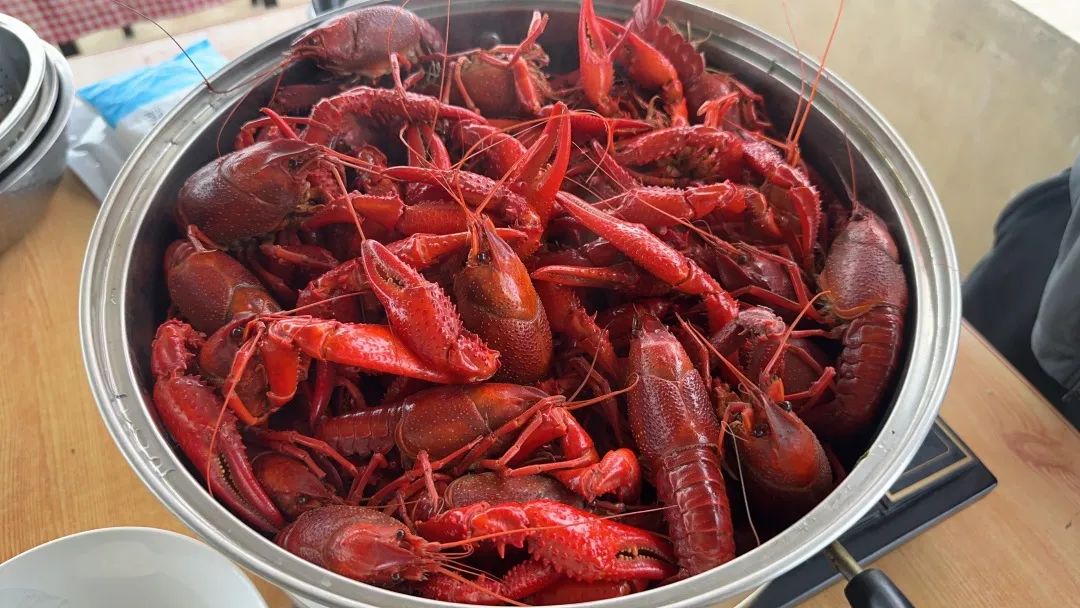 beats365(ÖйúÇø)-Ψһ¹Ù·½ÍøÕ¾