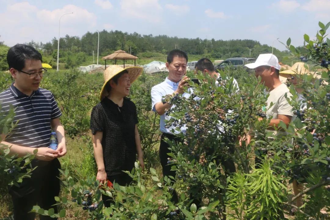 beats365(中国区)-唯一官方网站