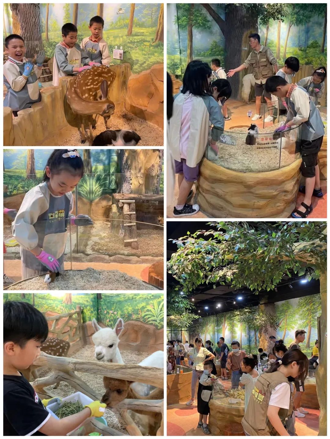 beats365(中国区)-唯一官方网站