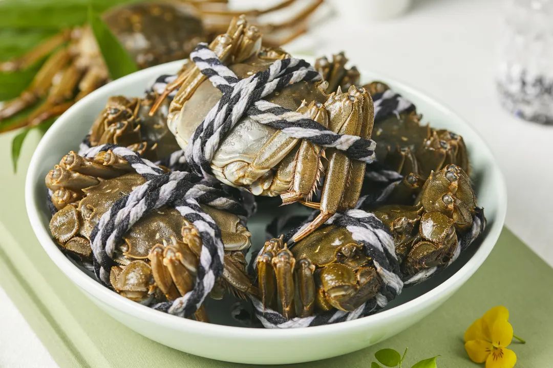 beats365(�й���)-Ψһ�ٷ���վ