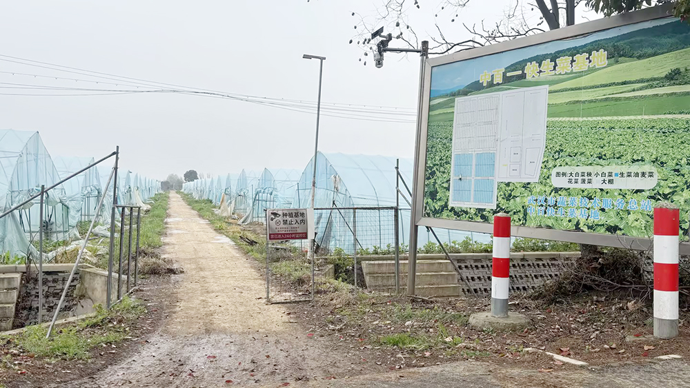 beats365(�й���)-Ψһ�ٷ���վ