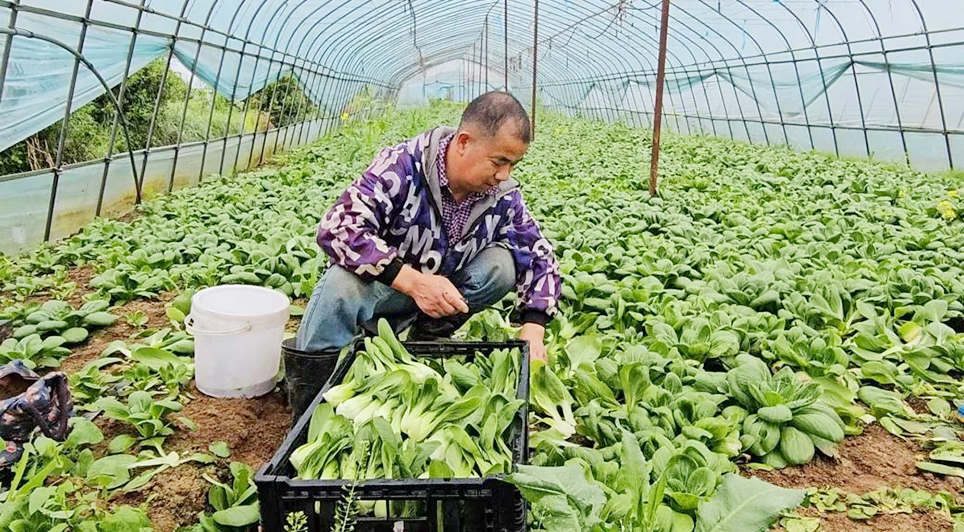 beats365(�й���)-Ψһ�ٷ���վ