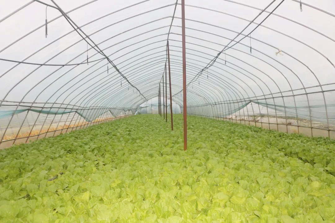 beats365(�й���)-Ψһ�ٷ���վ